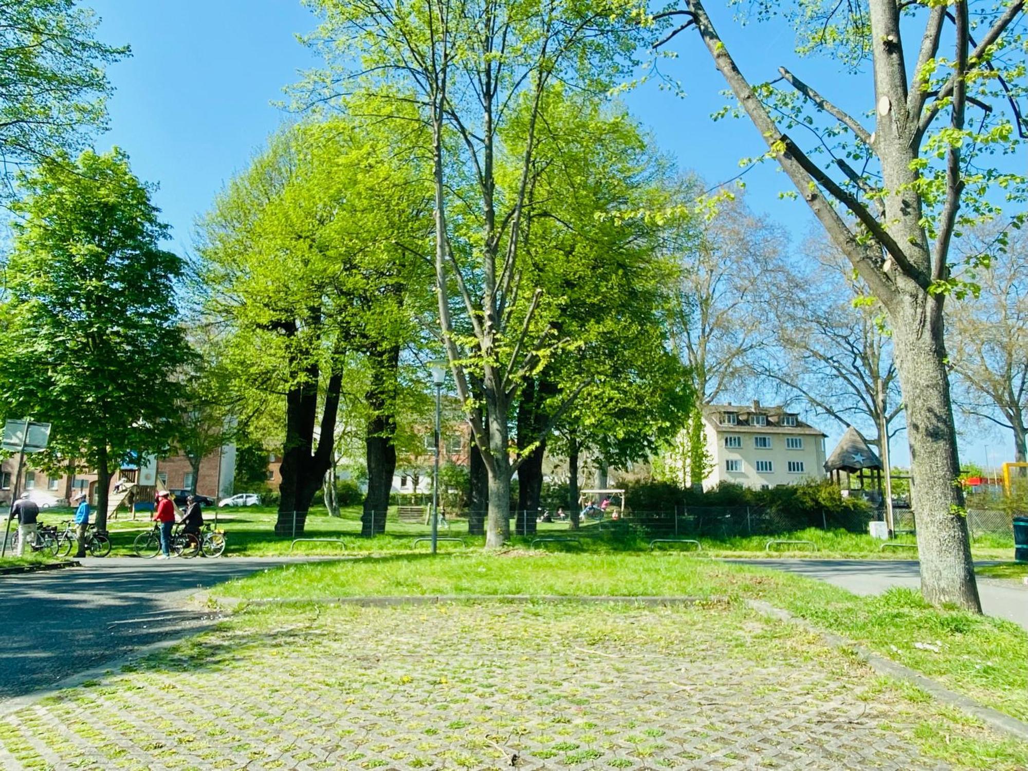 Kassel: Alles, Was Du Brauchst! Zewnętrze zdjęcie