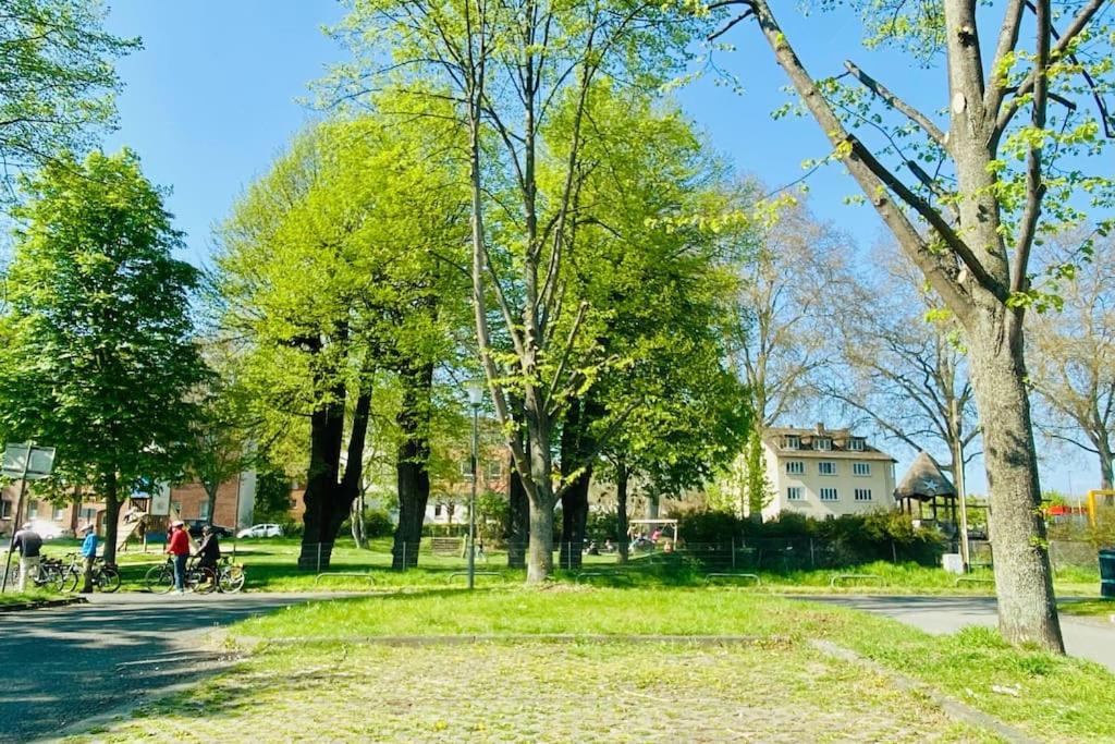 Kassel: Alles, Was Du Brauchst! Zewnętrze zdjęcie